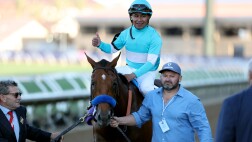 为什么选择我们